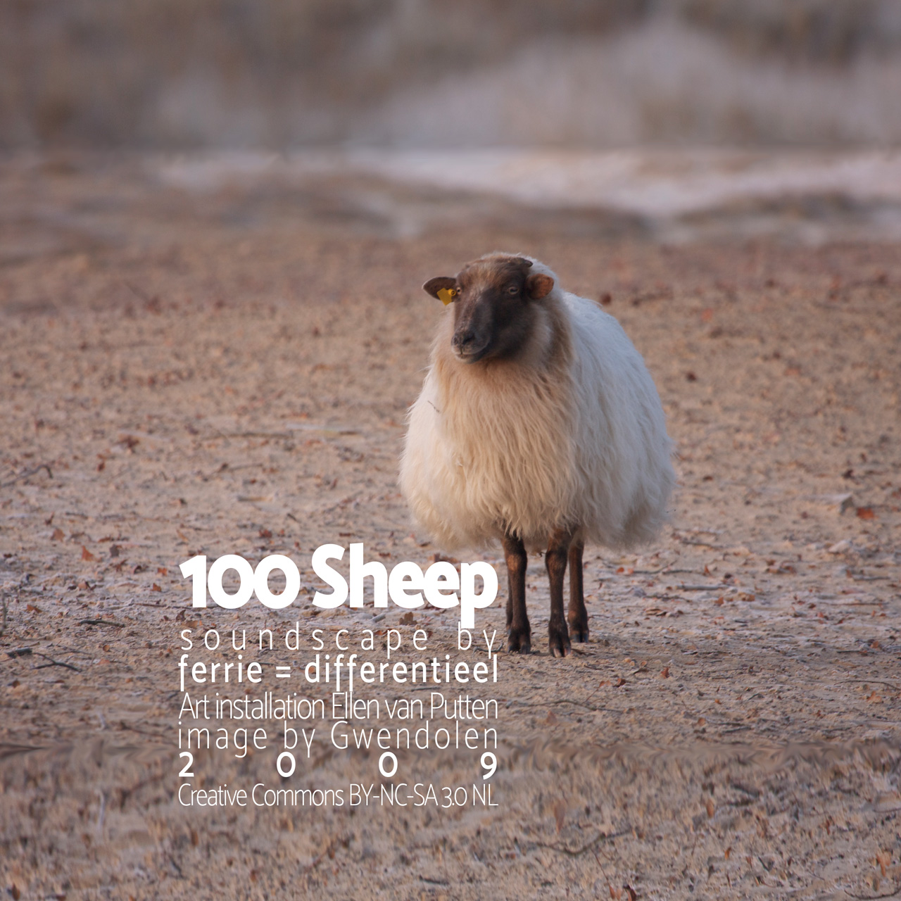 100 Sheep Cover