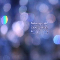 Metamorphosis 1 <br /> een interpretatie <br /> Bertrand Robion