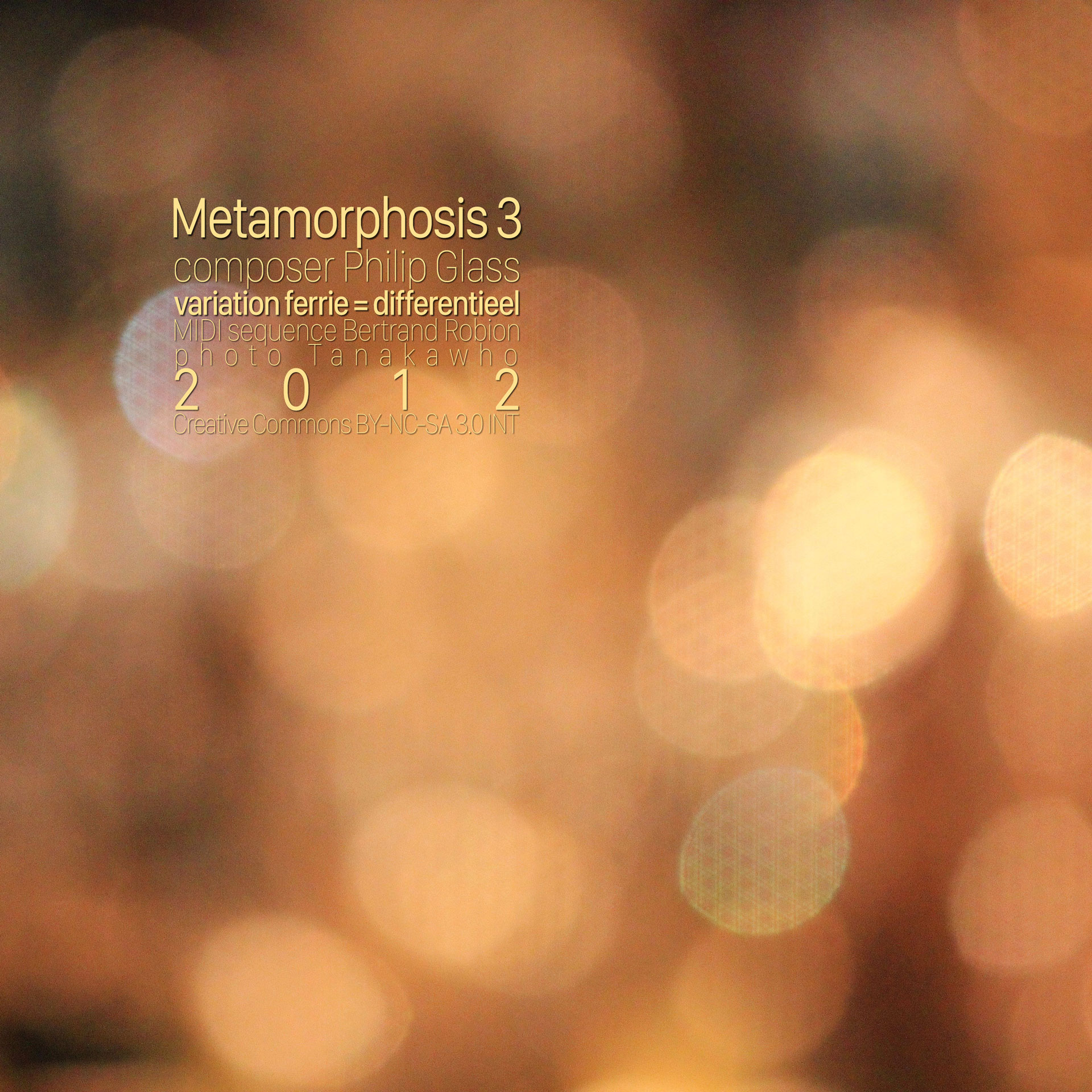 Metamorphosis 3  een interpretatie  Bertrand Robion