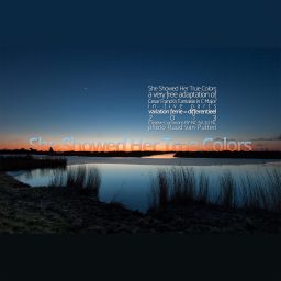 She Showed Her True Colors <br /> een vrije bewerking van Fantaisie in C Major <br /> Cesar Franck