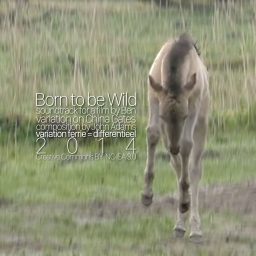 Born to be Wild <br /> soundtrack <br /> John Adams