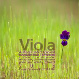 Viola <br /> A Miscalculated Ambient <br /> Morton Feldman