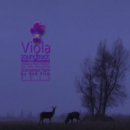 Viola <br /> soundtrack / ambient <br /> Morton Feldman