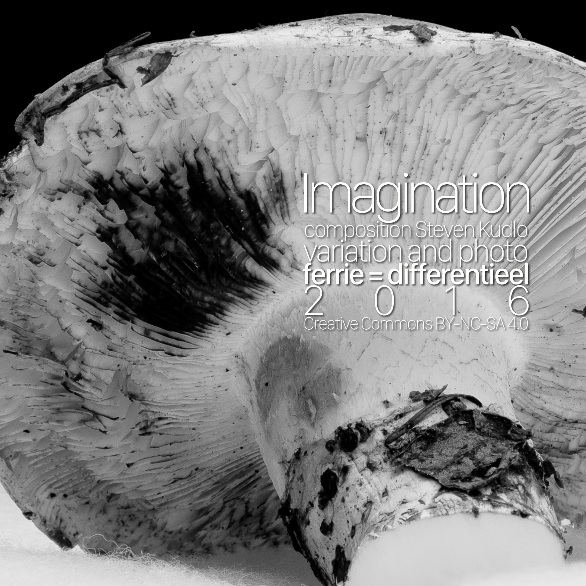 Imagination  ambient  Steven Kudlo