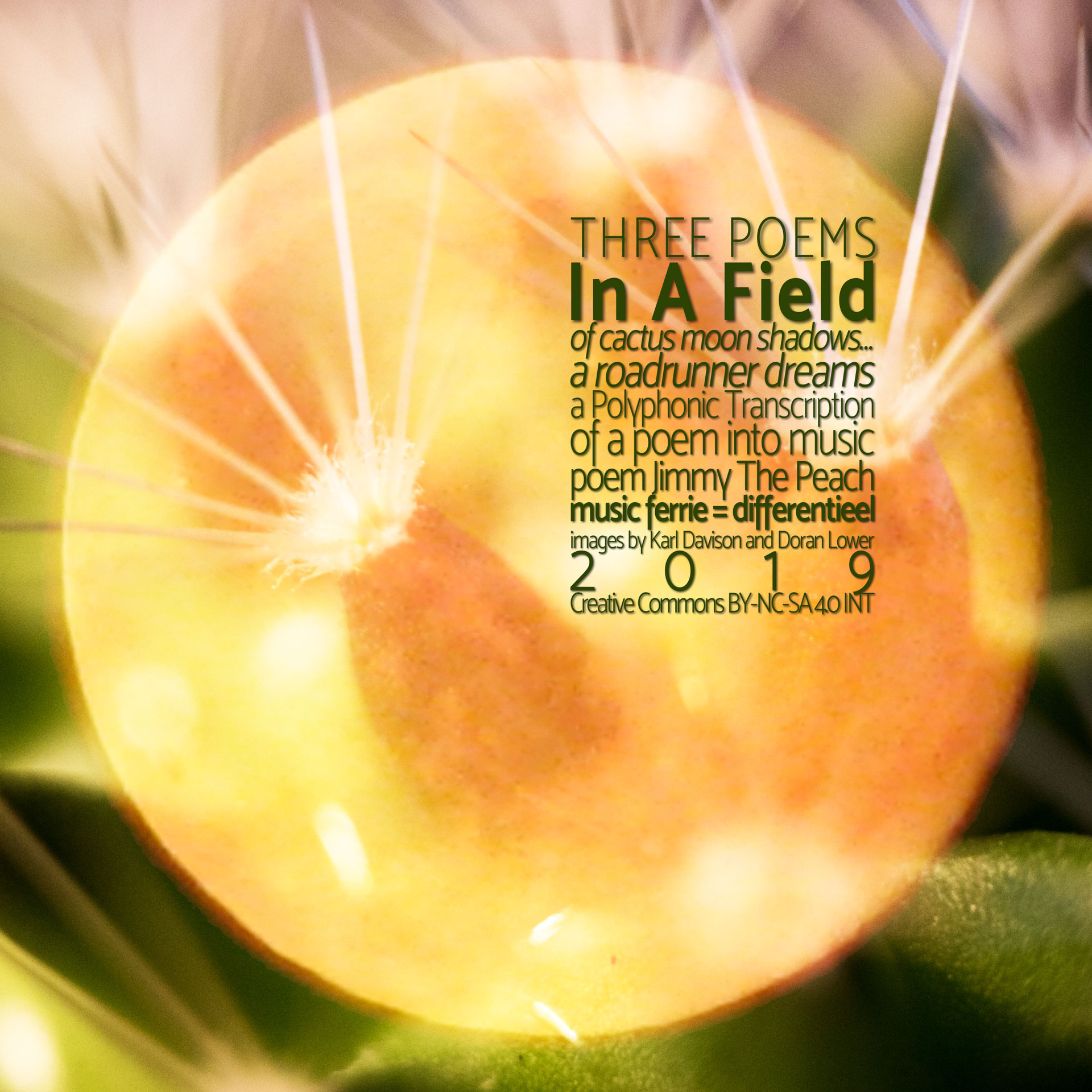 In A Field  derde van de drie korte gedichten  Jimmy ThePeach✞