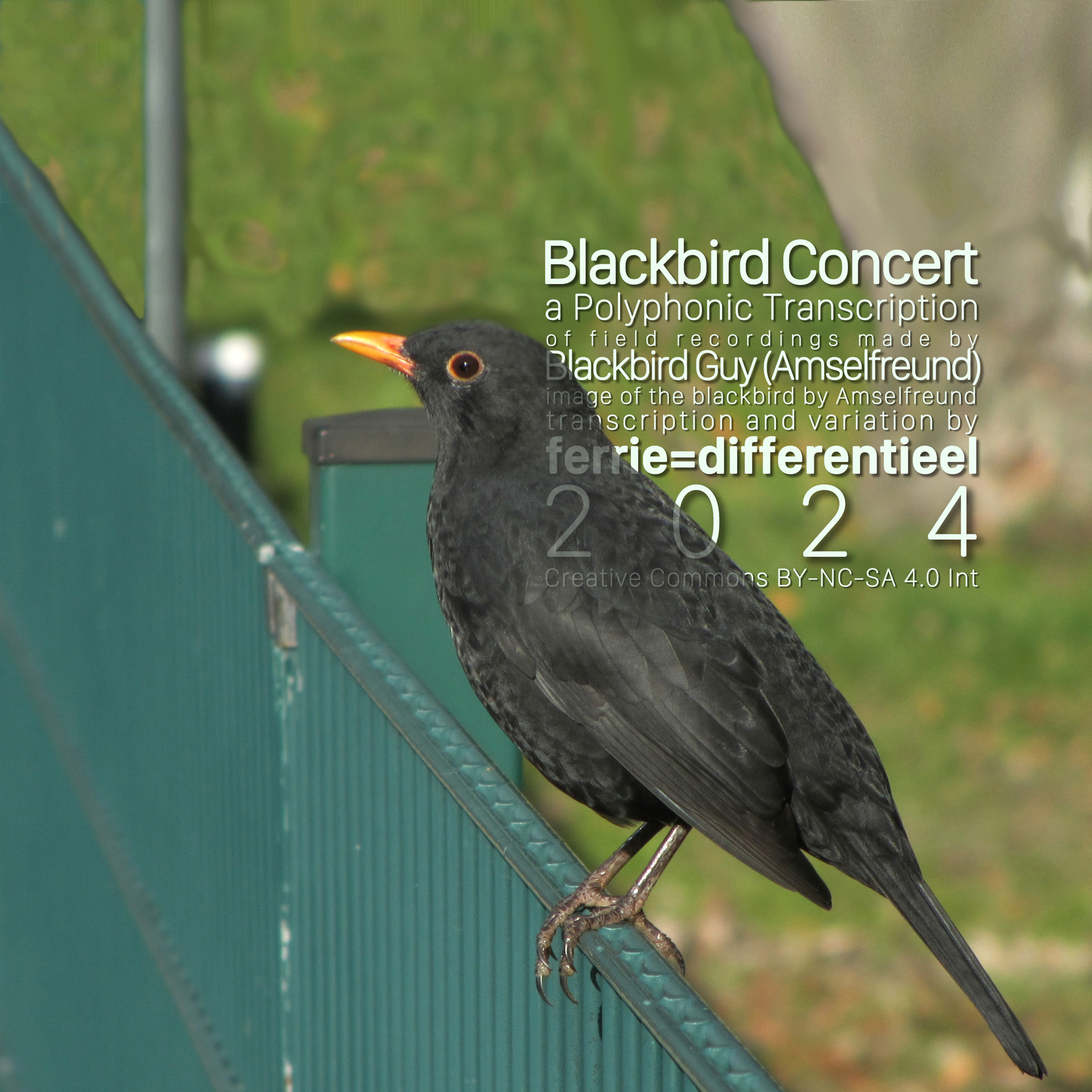 Blackbird ConcertGesamtkunstwerkferrie=differentieel