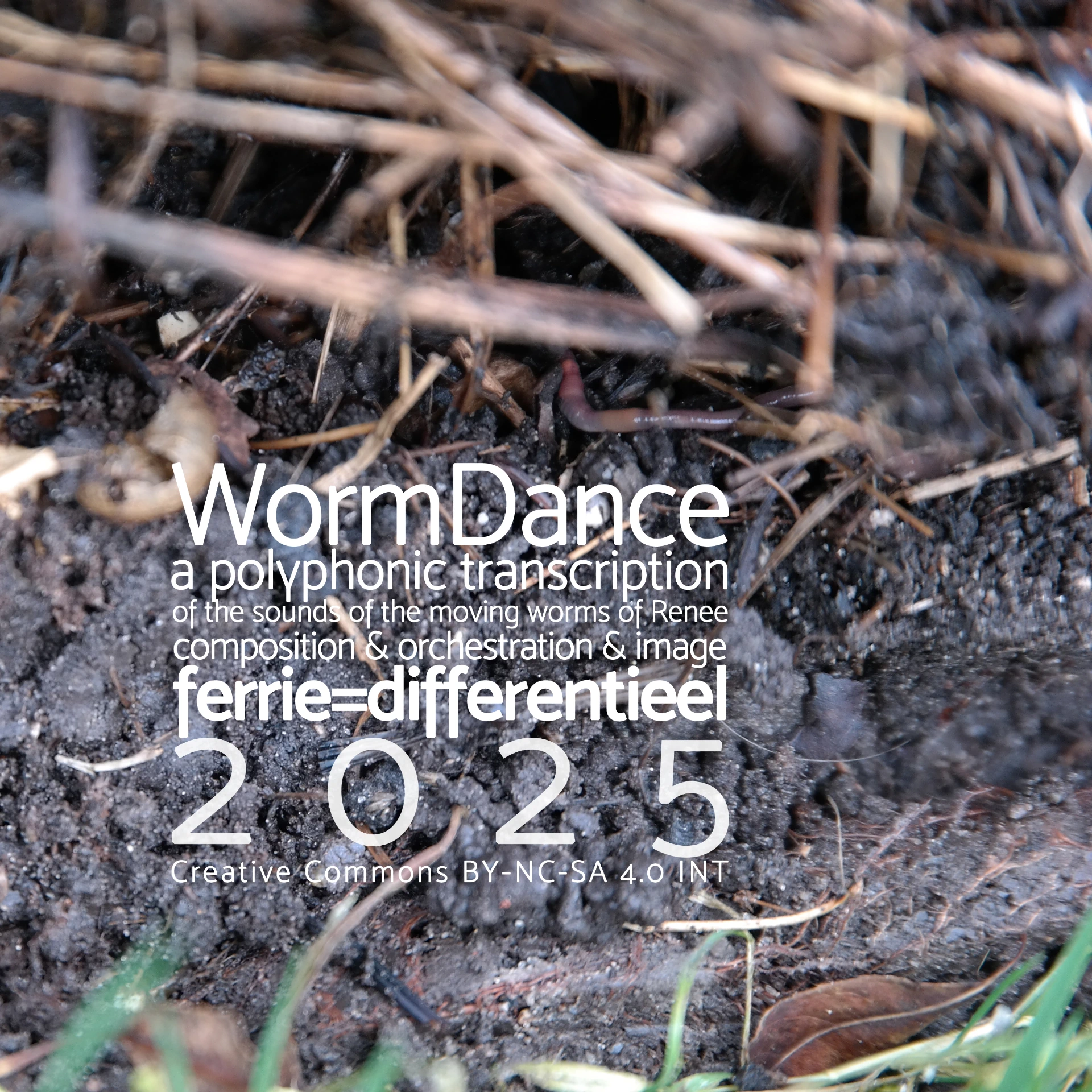 WormDance  modern klassiek  voor een strijkers ensemble